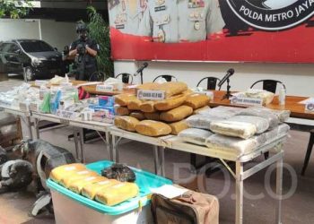 Polisi Bongkar Penyelundupan Narkoba 16 Kilogram Dalam Patung Asal Afrika