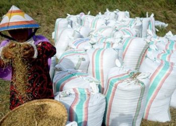 Polri & Kementan Kerja Sama Bangun Ketahanan Pangan Nasional